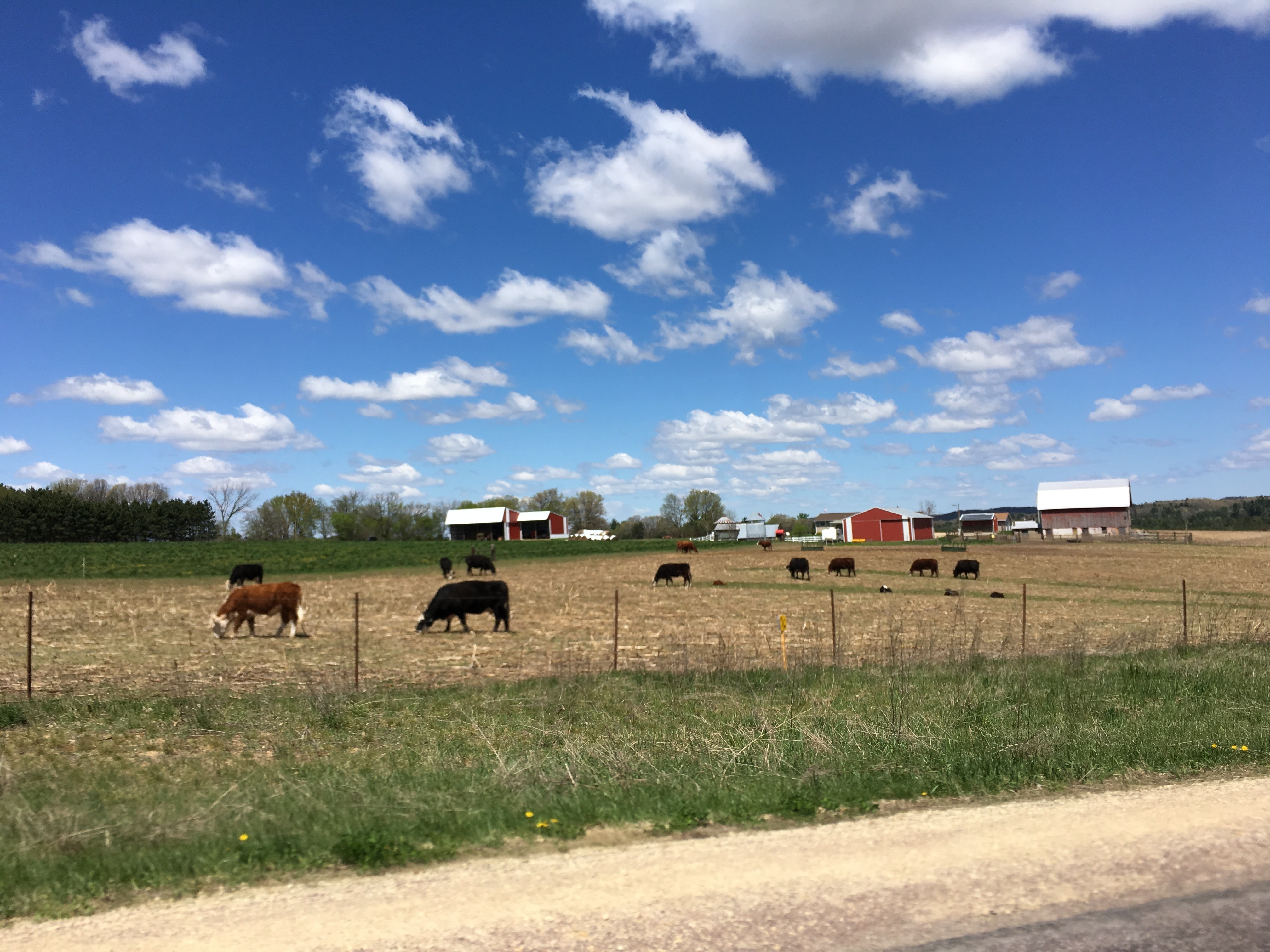 #RonOntheRoad: Beautiful Views On The Drive Between Eau Claire and La Crosse